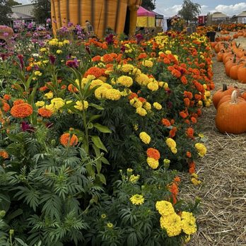 LJB Farms - Grocery Near Me - San Martin, California
