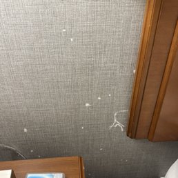 What is this?!