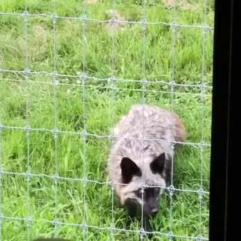 Penn's Cave & Wildlife Park - Historical Tours Near Me - Centre Hall, Pennsylvania Penn's Cave & Wildlife Park - Historical Tours Near Me - Centre Hall, Pennsylvania