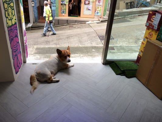 Pololi at Central by null