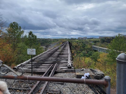 Bluegrass Scenic Railroad and Museum by null