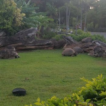 Twilight Tours - Walking Tours Near Me - Honolulu, Hawaii Twilight Tours - Walking Tours Near Me - Honolulu, Hawaii