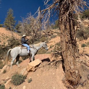 Canyon Trail Rides - Horseback Riding Near Me - Tropic, Utah Canyon Trail Rides - Horseback Riding Near Me - Tropic, Utah