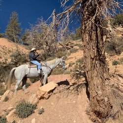 Canyon Trail Rides