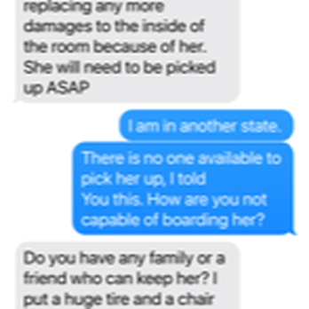 RC’s Dog Boarding - Pet Boarding Near Me - Rock Hill, South Carolina