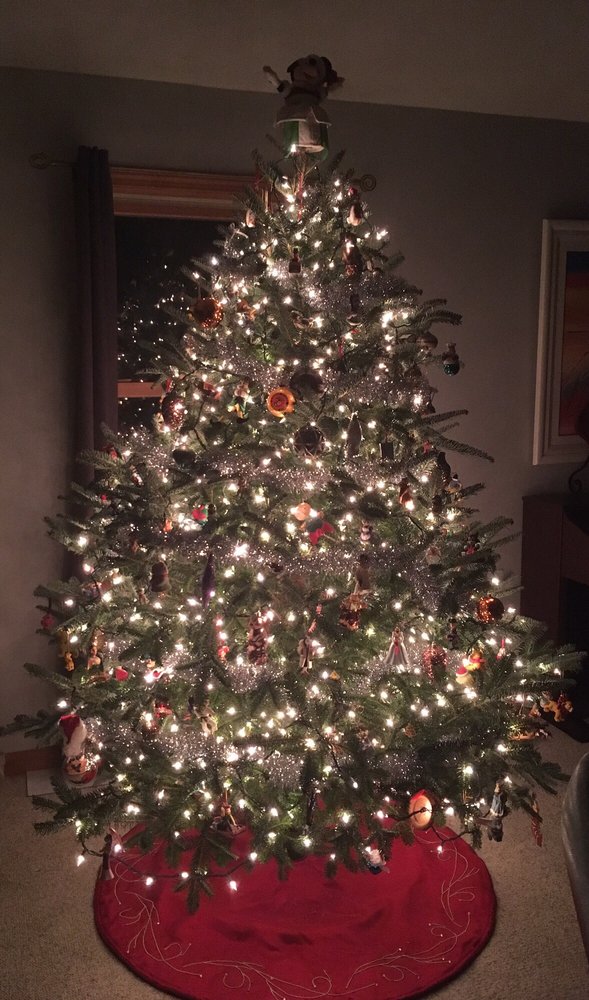 PAUL BUNYAN’S FARM & NURSERY Updated September 2024 11 Photos 500