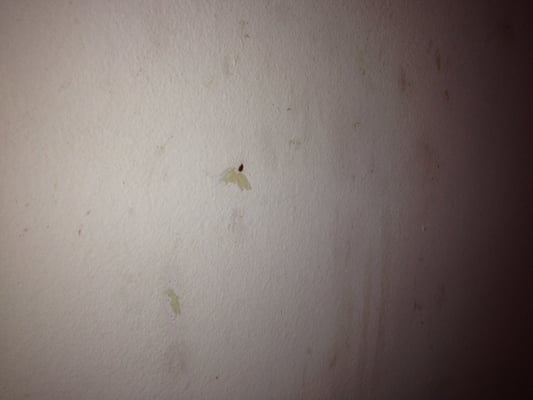 All Vegas Properties