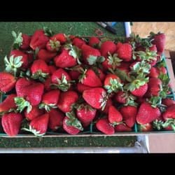 Strawberry Stand