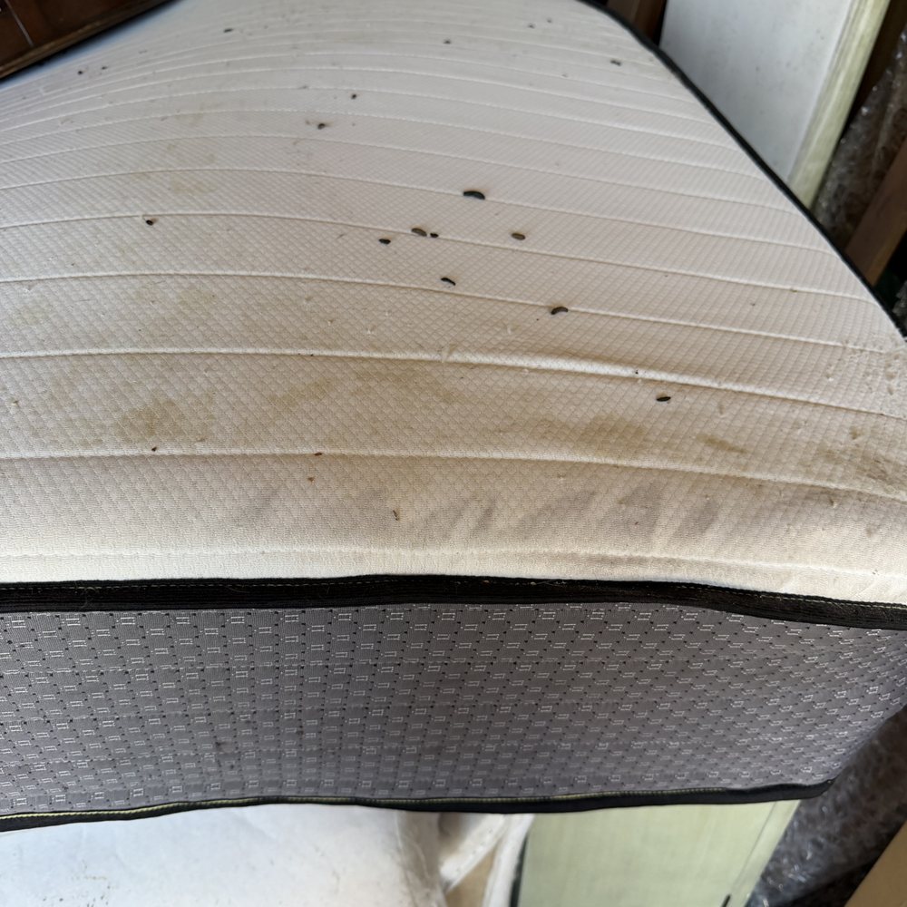 Mini U Storage - Rat pee and poop all over mattress. - Self Storage Near Me - Atascadero, California Mini U Storage - Rat pee and poop all over mattress. - Self Storage Near Me - Atascadero, California