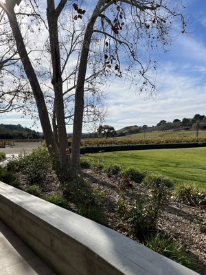 Fess Parker Wine Country Inn by null