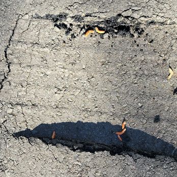 Paul's Asphalt Service - Masonry/Concrete Near Me - Palmer Lake, Colorado Paul's Asphalt Service - Masonry/Concrete Near Me - Palmer Lake, Colorado