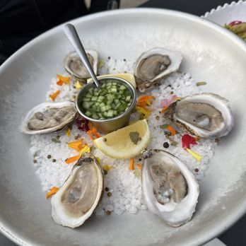 Coucou - Oysters - Cocktail Bars Near Me - Venice, California Coucou - Oysters - Cocktail Bars Near Me - Venice, California