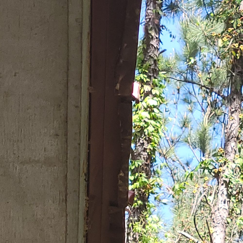 Slide of Mighty Dog Roofing