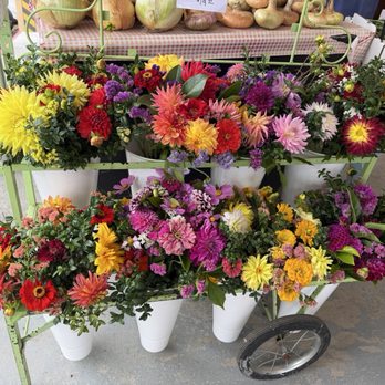 Schuh Farms - Flowers - Farms Near Me - Mount Vernon, Washington Schuh Farms - Flowers - Farms Near Me - Mount Vernon, Washington