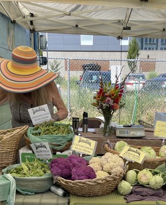 Spokane Farmers' Market by null