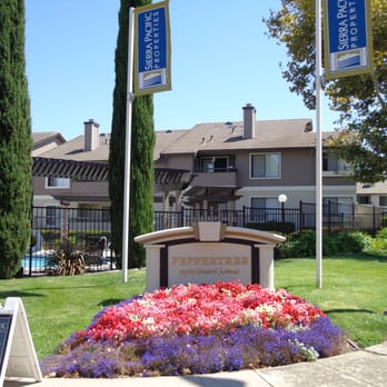Peppertree Apartments 11 Reviews Apartments 300 Peppertree