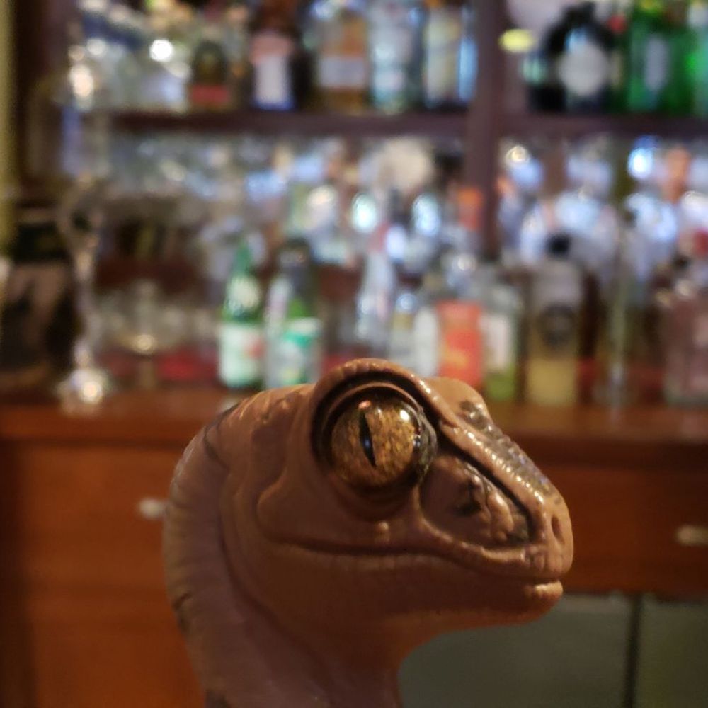 Winds Cafe - Bob the Raptor says, "This is where the Bar mammals live." - American Near Me - Yellow Springs, Ohio Winds Cafe - Bob the Raptor says, "This is where the Bar mammals live." - American Near Me - Yellow Springs, Ohio