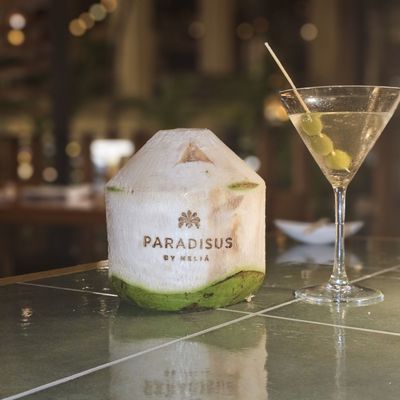 Paradisus Cancún by null