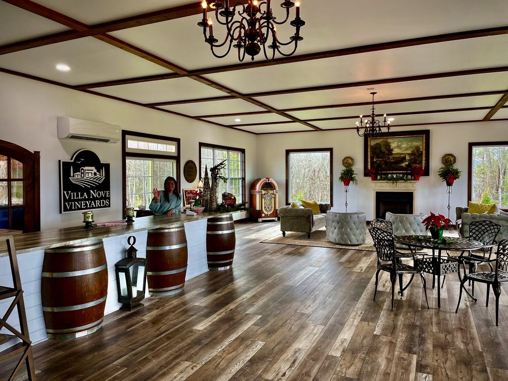 Villa Nove Vineyards Logo