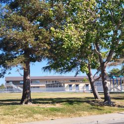 Short fence borders school