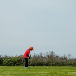 Tiny Tees Golf