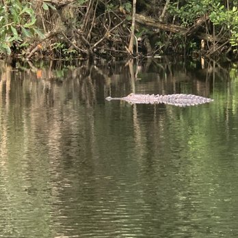 King's Landing - Rafting/Kayaking Near Me - Apopka, Florida King's Landing - Rafting/Kayaking Near Me - Apopka, Florida
