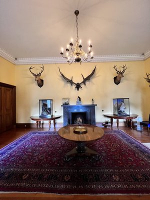 Muckross House by null