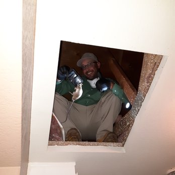 Outstanding Pest Solutions - Pest Control Near Me Outstanding Pest Solutions - Pest Control Near Me