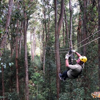Kohala Zipline - Tours Near Me - Hawi, Hawaii Kohala Zipline - Tours Near Me - Hawi, Hawaii