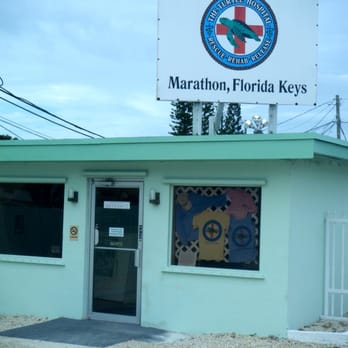 Hidden Harbor Turtle Hospital - Veterinarians Near Me - Marathon, Florida
