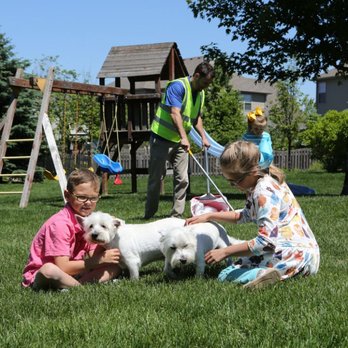 Pet Butler - Pet Waste Removal Near Me Pet Butler - Pet Waste Removal Near Me