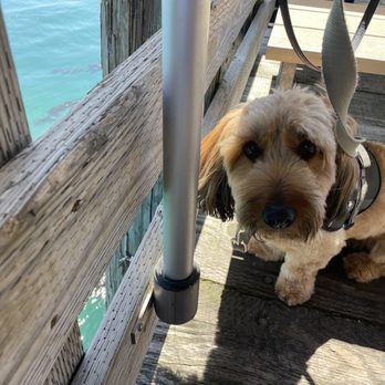 Mersea's - Dog friendly - Bars Near Me - Avila Beach, California Mersea's - Dog friendly - Bars Near Me - Avila Beach, California