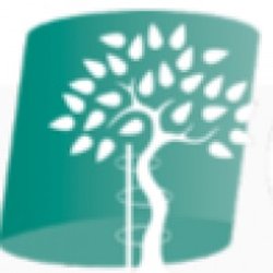 Orthopaedic Specialty Clinic