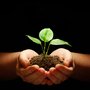 Peace Portal Counselling Centre