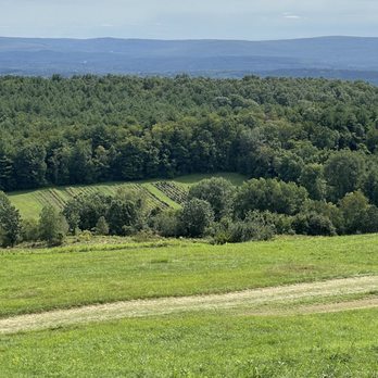 Apex Orchards - Fabulous view from Apex Orchards - Fruits & Veggies Near Me - Shelburne Falls, Massachusetts