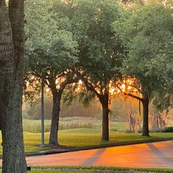 Harmony Golf Preserve - Example of golf course from the road side