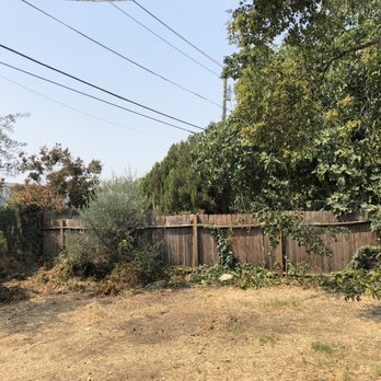 Valley Falls Tree Care - After. Tree taken out, small stump left. All wood mulched and taken away. THANK YOU!!! - Tree Services Near Me