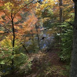 eXplore Brown County - That's me on the last Zip!!! Gorgeous view!!!!!!