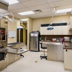 Sage Creek Animal Hospital - Treatment Room