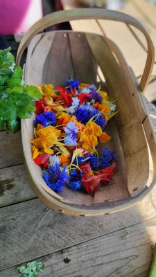 Proctor Farmers' Market by null