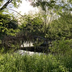 Taylor Fork Ecological Area