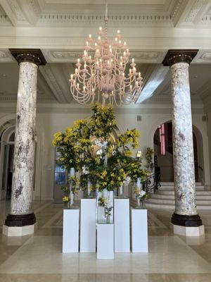 Carlton Cannes, a Regent Hotel by null