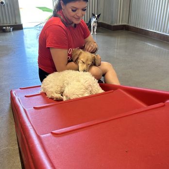 Camp Bow Wow Tracy - Pet Boarding Near Me - Tracy, California