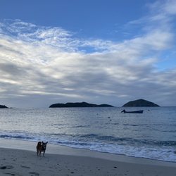 Hull Bay Beach