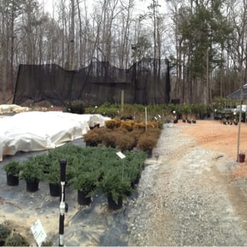 T-Bone's Nursery - Nurseries & Gardening Near Me - Milledgeville, Georgia