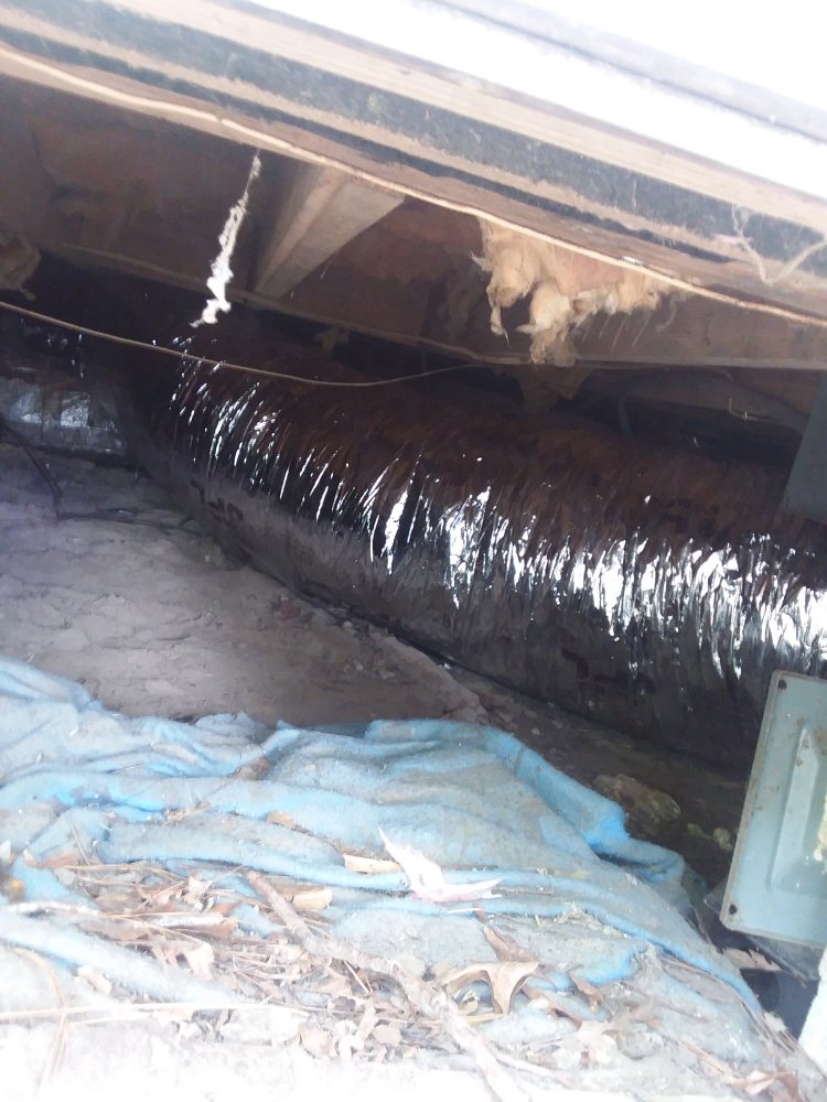 Slide of Carolina handyman and lawn care service