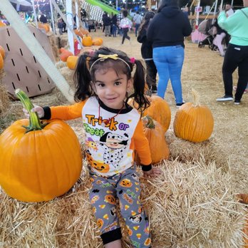 The Pumpkin Factory - Having a blast with getting away with mischief and fun - Pumpkin Patches Near Me - Corona, California The Pumpkin Factory - Having a blast with getting away with mischief and fun - Pumpkin Patches Near Me - Corona, California