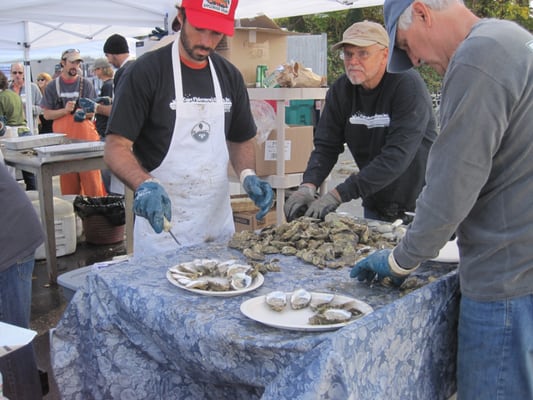 Wellfleet OysterFest by null