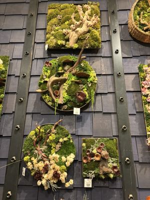 Anthropologie by null