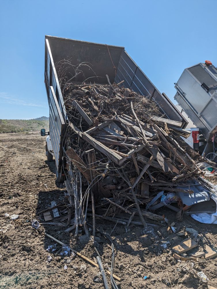 BLUE DOOR JUNK REMOVAL Updated September 2024 3195 Walnut Street